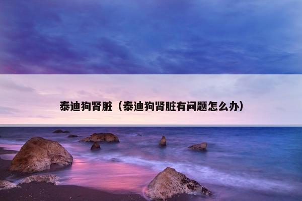 泰迪狗肾脏（泰迪狗肾脏有问题怎么办）