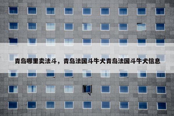 青岛哪里卖法斗，青岛法国斗牛犬青岛法国斗牛犬信息