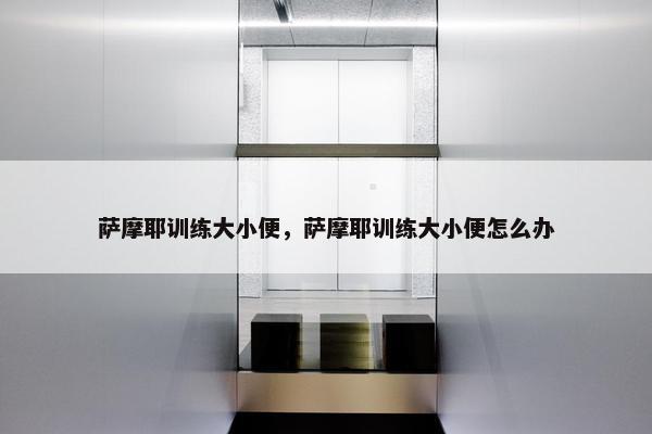 萨摩耶训练大小便，萨摩耶训练大小便怎么办