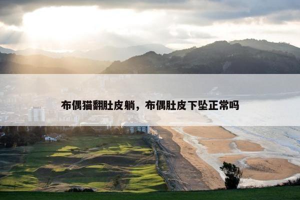 布偶猫翻肚皮躺，布偶肚皮下坠正常吗