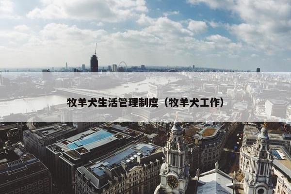 牧羊犬生活管理制度（牧羊犬工作）