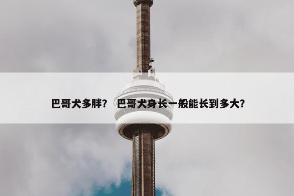 巴哥犬多胖？ 巴哥犬身长一般能长到多大？