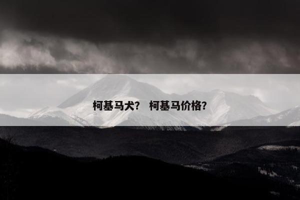 柯基马犬？ 柯基马价格？