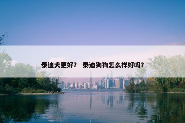 泰迪犬更好？ 泰迪狗狗怎么样好吗？