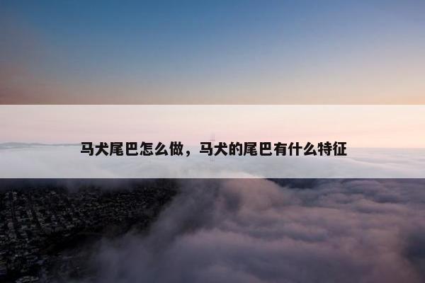 马犬尾巴怎么做，马犬的尾巴有什么特征