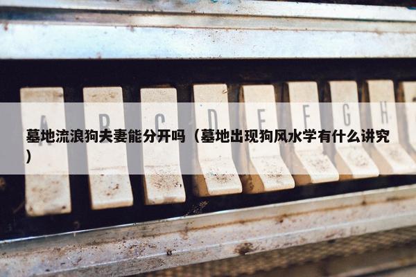 墓地流浪狗夫妻能分开吗（墓地出现狗风水学有什么讲究）