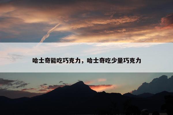 哈士奇能吃巧克力，哈士奇吃少量巧克力