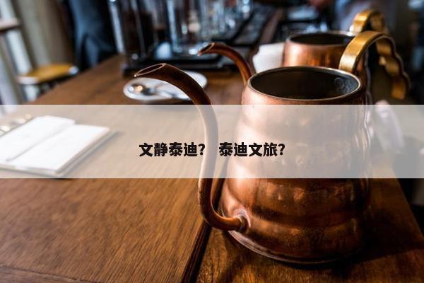 文静泰迪？ 泰迪文旅？
