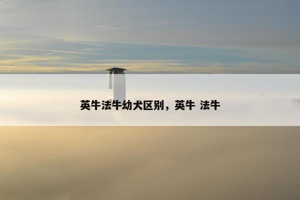 英牛法牛幼犬区别，英牛 法牛