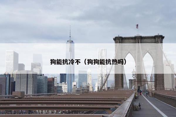 狗能抗冷不（狗狗能抗热吗）
