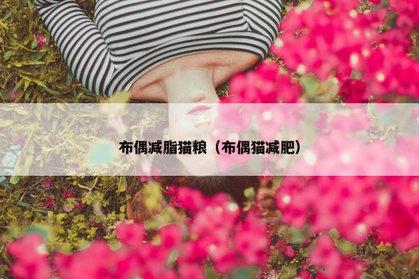 布偶减脂猫粮（布偶猫减肥）