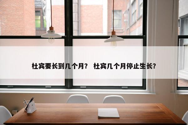 杜宾要长到几个月？ 杜宾几个月停止生长？