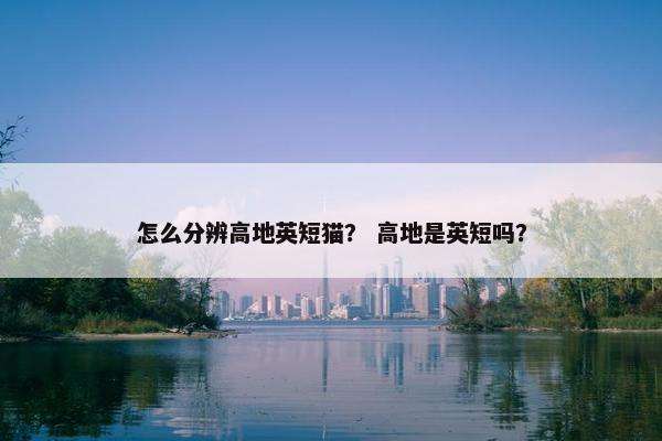 怎么分辨高地英短猫？ 高地是英短吗？