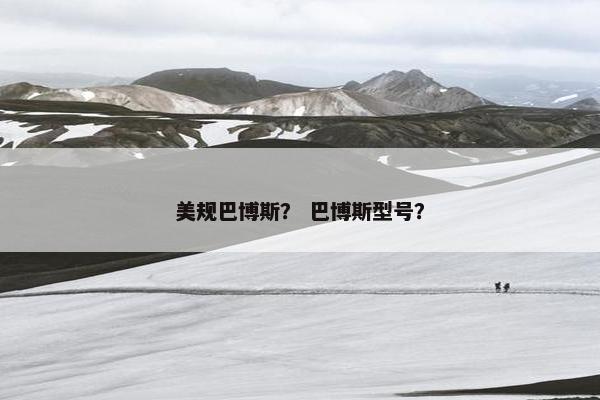 美规巴博斯？ 巴博斯型号？