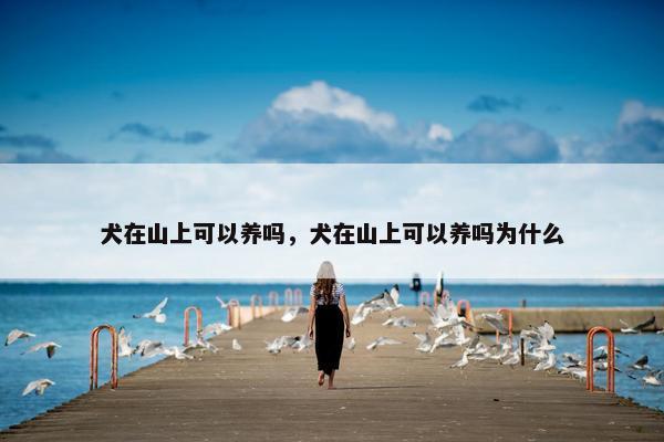 犬在山上可以养吗，犬在山上可以养吗为什么