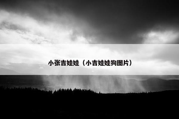 小张吉娃娃（小吉娃娃狗图片）