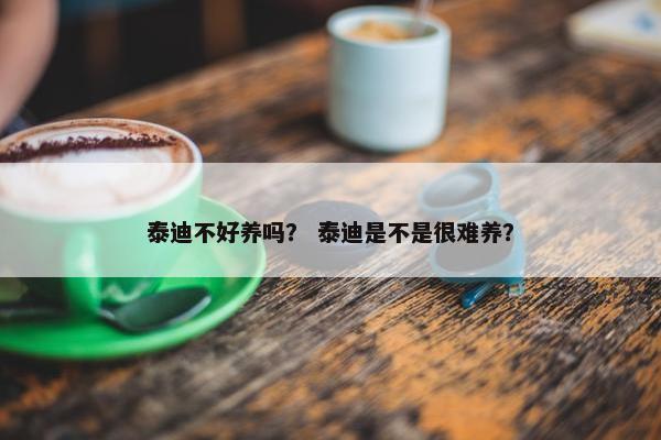 泰迪不好养吗？ 泰迪是不是很难养？