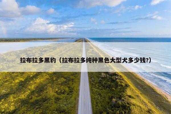 拉布拉多黑豹（拉布拉多纯种黑色大型犬多少钱?）