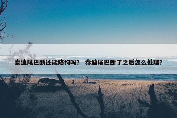 泰迪尾巴断还能陪狗吗？ 泰迪尾巴断了之后怎么处理？