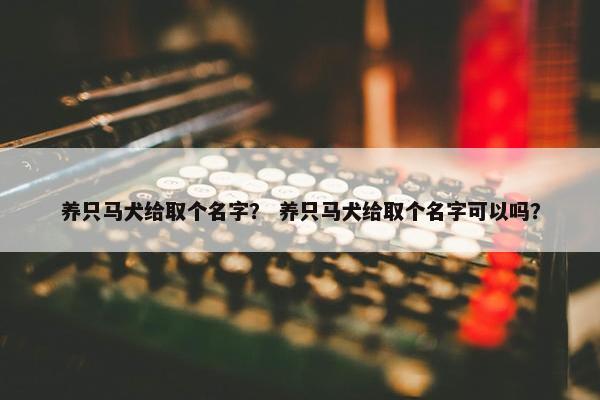 养只马犬给取个名字？ 养只马犬给取个名字可以吗？