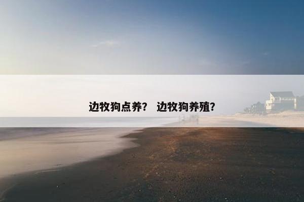 边牧狗点养？ 边牧狗养殖？
