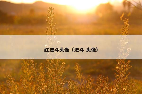 红法斗头像（法斗 头像）