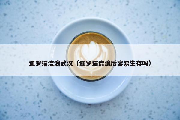 暹罗猫流浪武汉（暹罗猫流浪后容易生存吗）