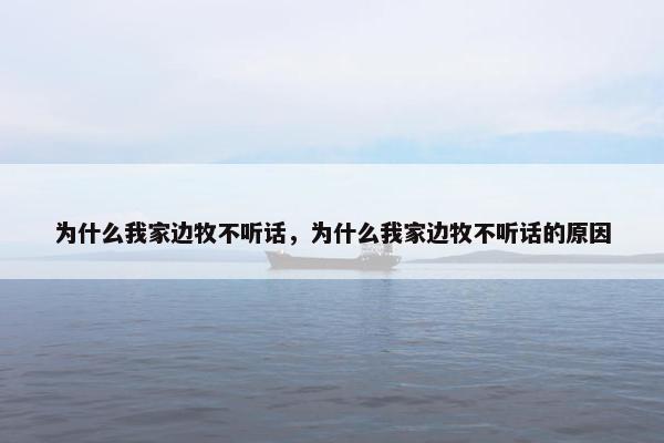 为什么我家边牧不听话，为什么我家边牧不听话的原因