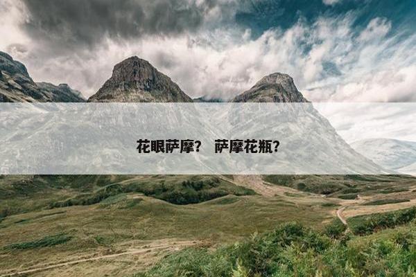 花眼萨摩？ 萨摩花瓶？