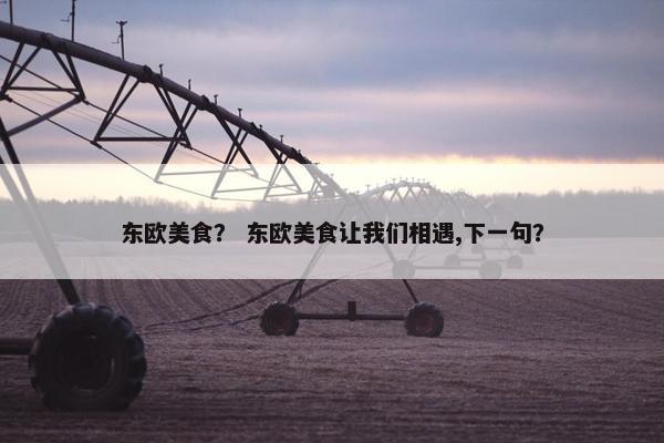 东欧美食？ 东欧美食让我们相遇,下一句？