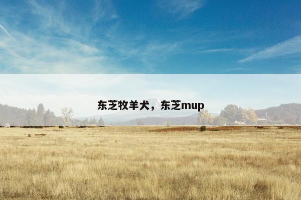 东芝牧羊犬，东芝mup