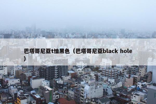 巴塔哥尼亚t恤黑色（巴塔哥尼亚black hole）
