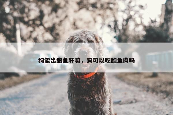 狗能出鲍鱼肝嘛，狗可以吃鲍鱼肉吗