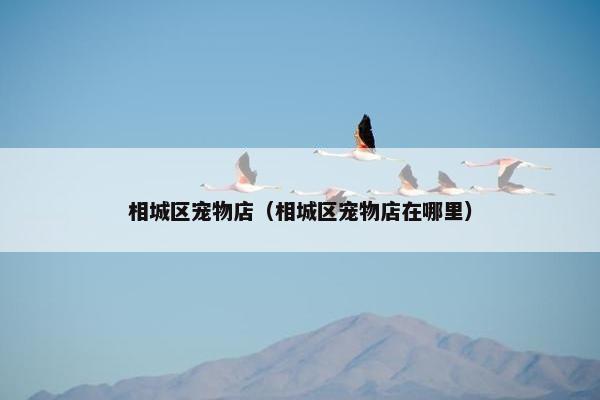 相城区宠物店（相城区宠物店在哪里）
