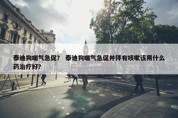泰迪狗喘气急促？ 泰迪狗喘气急促并伴有咳嗽该用什么药治疗好？