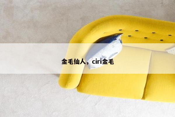 金毛仙人，ciri金毛