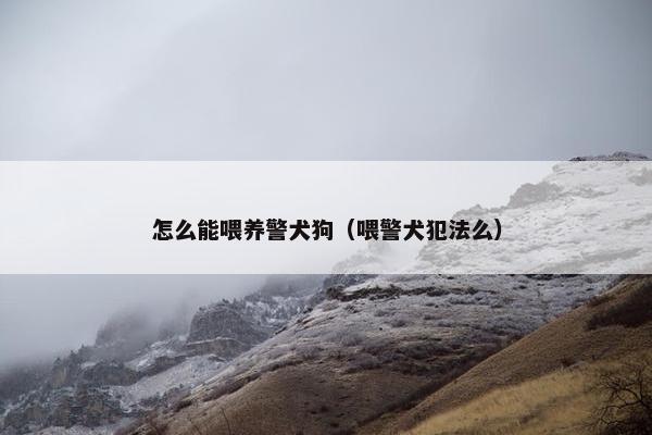 怎么能喂养警犬狗（喂警犬犯法么）