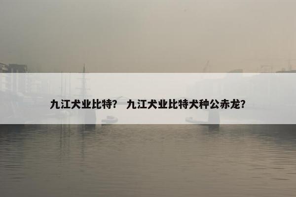 九江犬业比特？ 九江犬业比特犬种公赤龙？