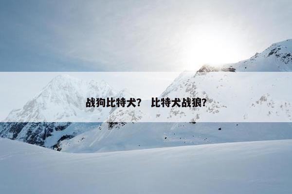 战狗比特犬？ 比特犬战狼？