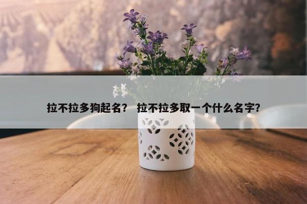 拉不拉多狗起名？ 拉不拉多取一个什么名字？