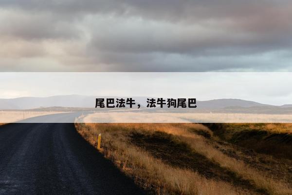 尾巴法牛，法牛狗尾巴