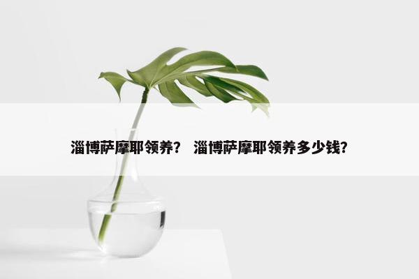 淄博萨摩耶领养？ 淄博萨摩耶领养多少钱？