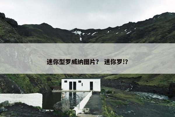 迷你型罗威纳图片？ 迷你罗!？