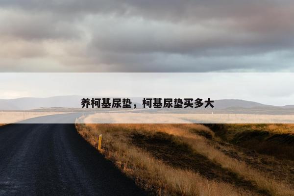 养柯基尿垫，柯基尿垫买多大