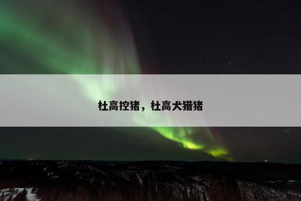 杜高控猪，杜高犬猎猪