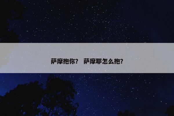 萨摩抱你？ 萨摩耶怎么抱？