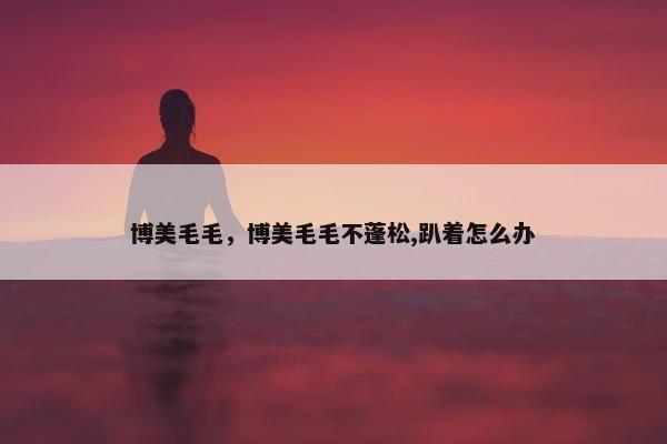 博美毛毛，博美毛毛不蓬松,趴着怎么办