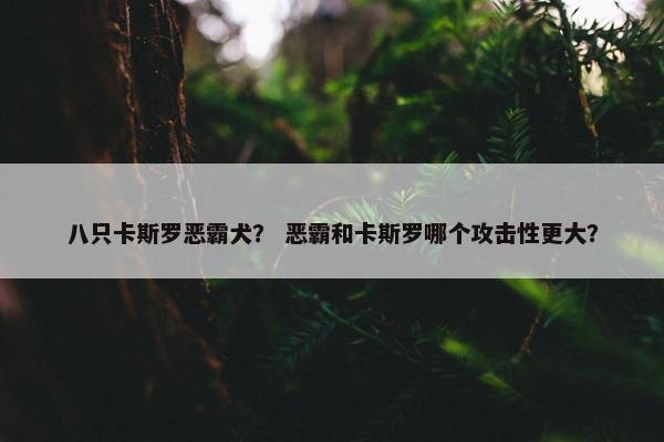 八只卡斯罗恶霸犬？ 恶霸和卡斯罗哪个攻击性更大？