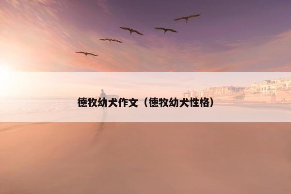 德牧幼犬作文（德牧幼犬性格）