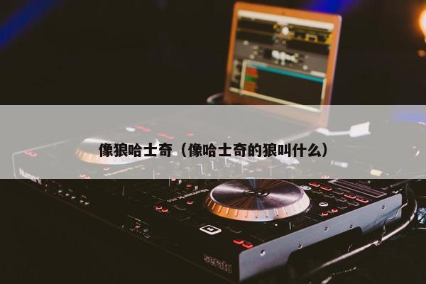 像狼哈士奇（像哈士奇的狼叫什么）